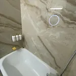 דירה Premium טימישוארה